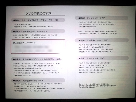 藤井聡さんの犬のしつけDVD 特典のご案内