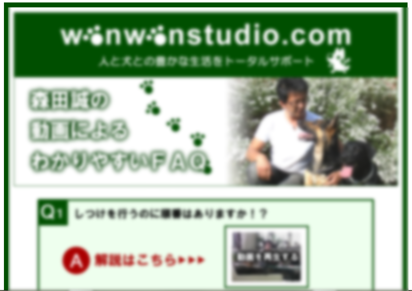 森田誠さんの犬しつけDVD 購入者専用Q&Aサイト②