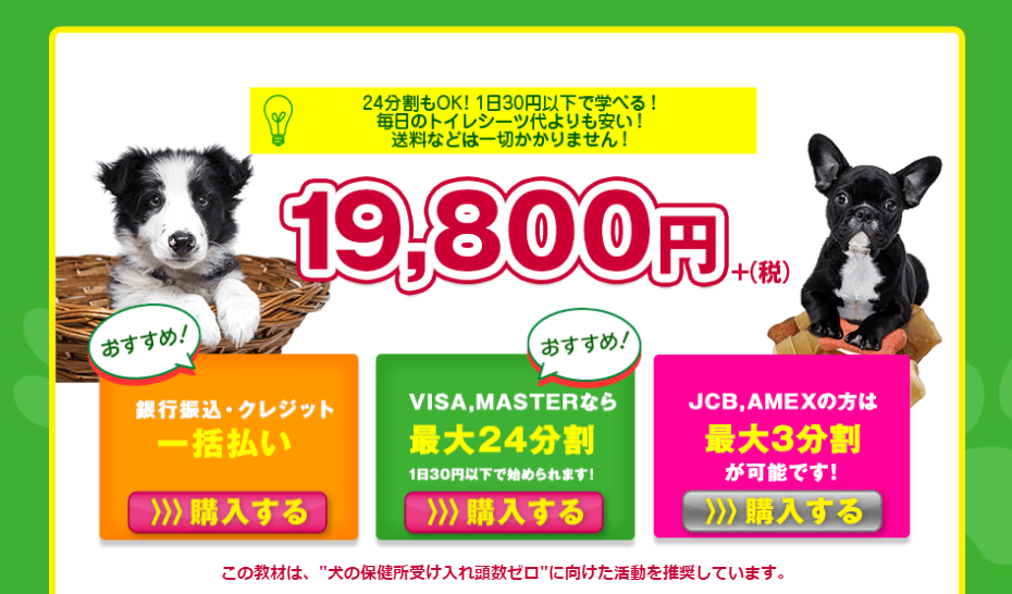 飯嶋志帆さん(しほ先生)のイヌバーシティ 販売価格画像