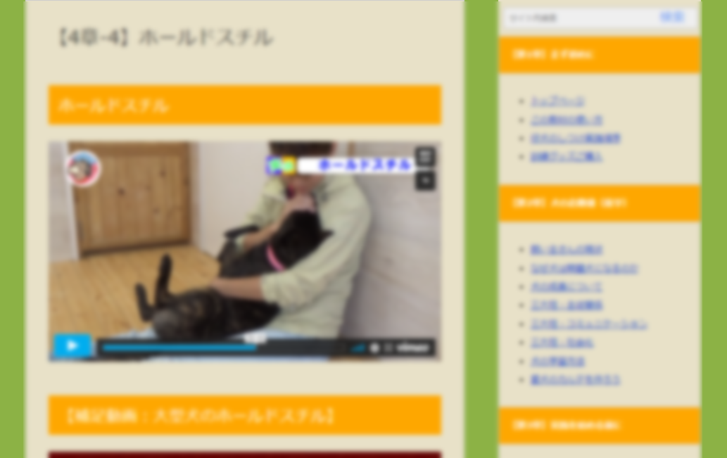 飯嶋志帆さん(しほ先生)のInuversity(イヌバーシティ) 教材中身画面③